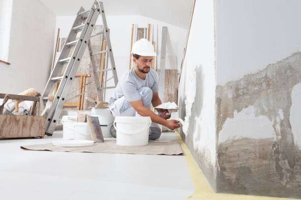 Best Drywall Sanding and Smoothing  in Wisr, NE